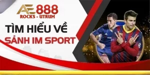Sảnh IM Sports là gì?